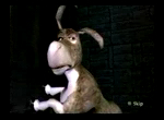 donkey